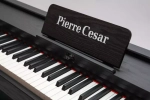 Pierre Cesar DP-12-H