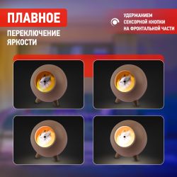 Ночник - светильник светодиодный ЭРА NLED-468-1W-P хомяк розовый | Ночники