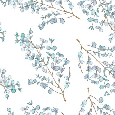 Seamless pattern from a branch with eucalyptus leaves.