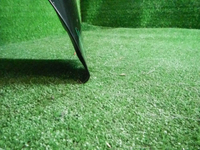DSCN1620.JPG