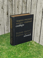 Карманный чешско-русский и русско-чешский словарь