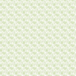 FAIRY FOXES 4