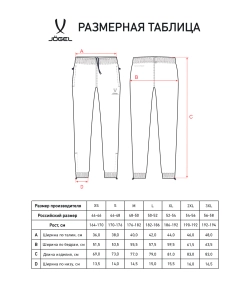 Брюки ветрозащитные DIVISION PerFormPROOF Rain Pants, черный