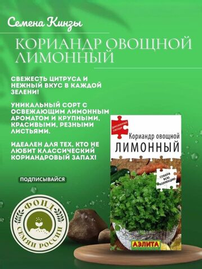 Кориандр Овощной Лимонный, Кинза, Семена 0.5 гр.