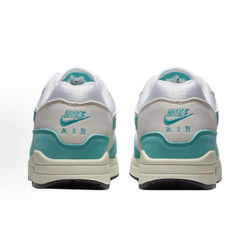 Nike Air Max 1 Dusty Cactus