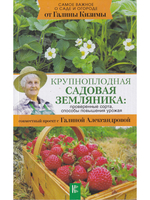 Крупноплодная садовая земляника. Лучшие сорта и современные технологии выращивания