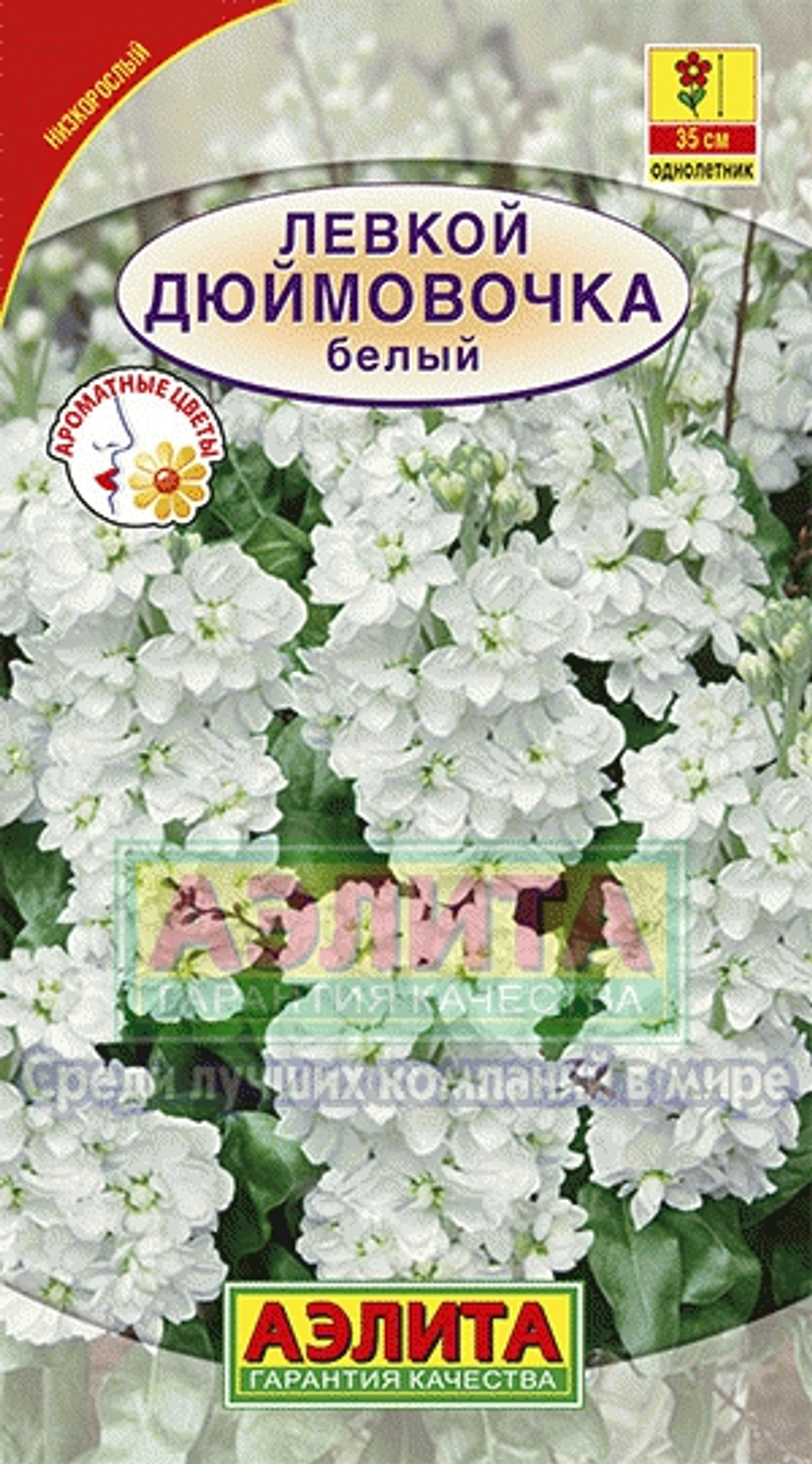 лдолод