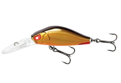 Basara 35LBF