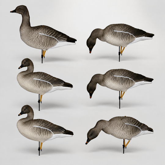 Гусь гуменник Duck Mania "ALFA"