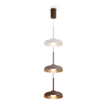Подвесной светодиодный светильник Freya Movement FR5602PL-L5BR