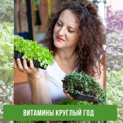 Агровата для выращивания микрозелени набор 30шт / 16,5*10*2 см /субстрат для выращивания микрозелени и растений