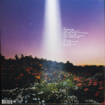 Honne / Let's Just Say The World Ended A Week From Now, What Would You Do? (Limited Edition)(Clear Vinyl)(LP)