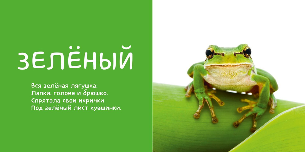 Первые слова. Я учу цвета. Фотокнига со стихами