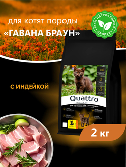 Корм сухой для котят породы Гавана браун, с индейкой, 2 кг, QUATTRO