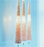World Flower Artists 2