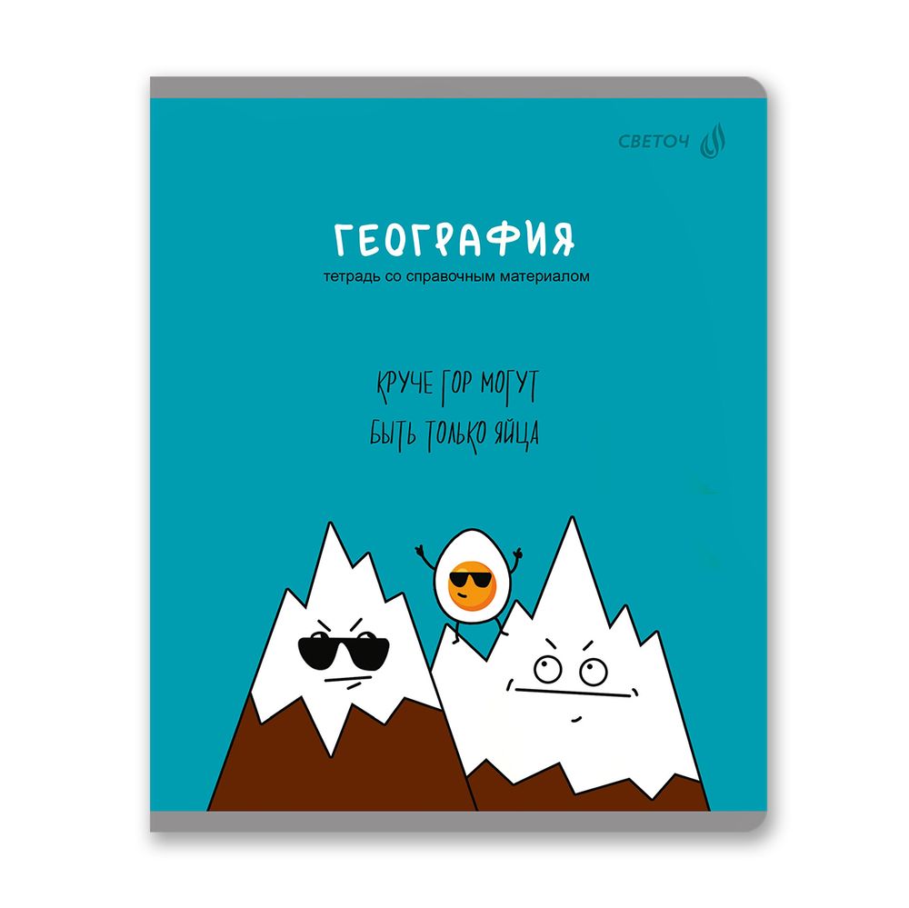 Комплект тетрадей со справочными материалами Большая перемена, выбор.лак, A5 48 л. 12 шт на скобе 65 г/м², белизна 100% 1 шт клетка/линия, 01884 12 предметов, Светоч Т295