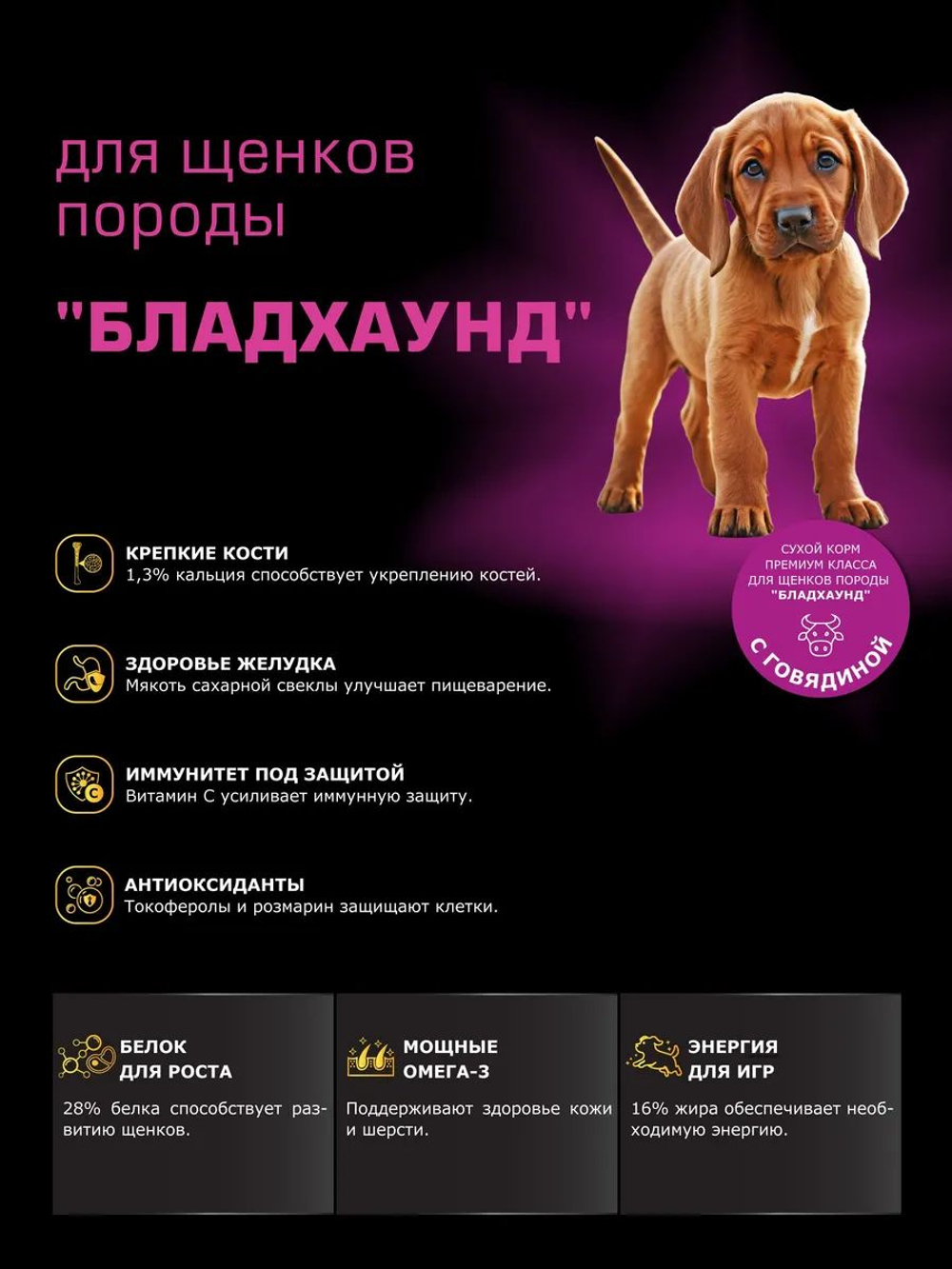 Корм сухой для щенков породы Бладхаунд, с говядиной, 12 кг, QUATTRO