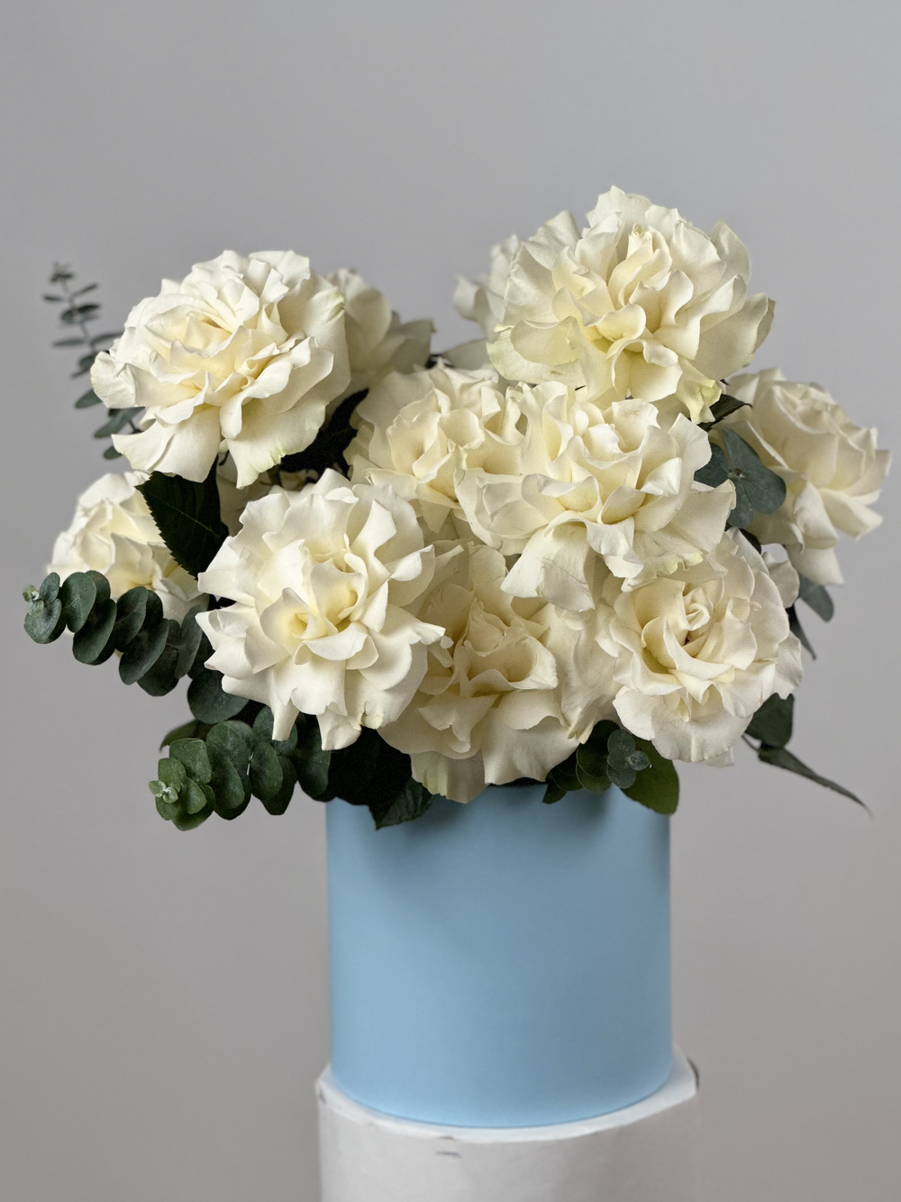 Bouquet of 25 white French Blanche roses in a box
