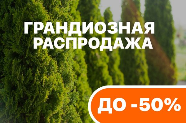 ГРАНДИОЗНАЯ ЛЕТНЯЯ РАСПРОДАЖА! ☀️ ГРАНДИОЗНАЯ ЛЕТНЯЯ РАСПРОДАЖА! ☀️