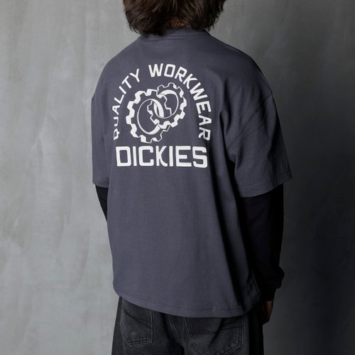 Лонгслив мужской Dickies Payson 2-in-1 Let T-Shirt 