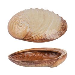 Салатник 365 мл 19*14,5 см h5 см для закусок Pearl Ammonite Shell Frutti di Mare P.L. [1]