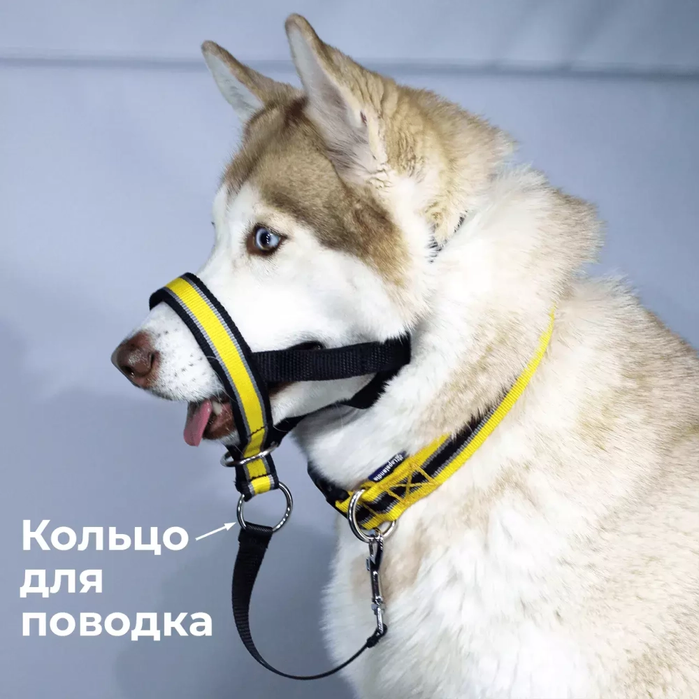 Недоуздок корректор поведения Спорт (Халти) для собак