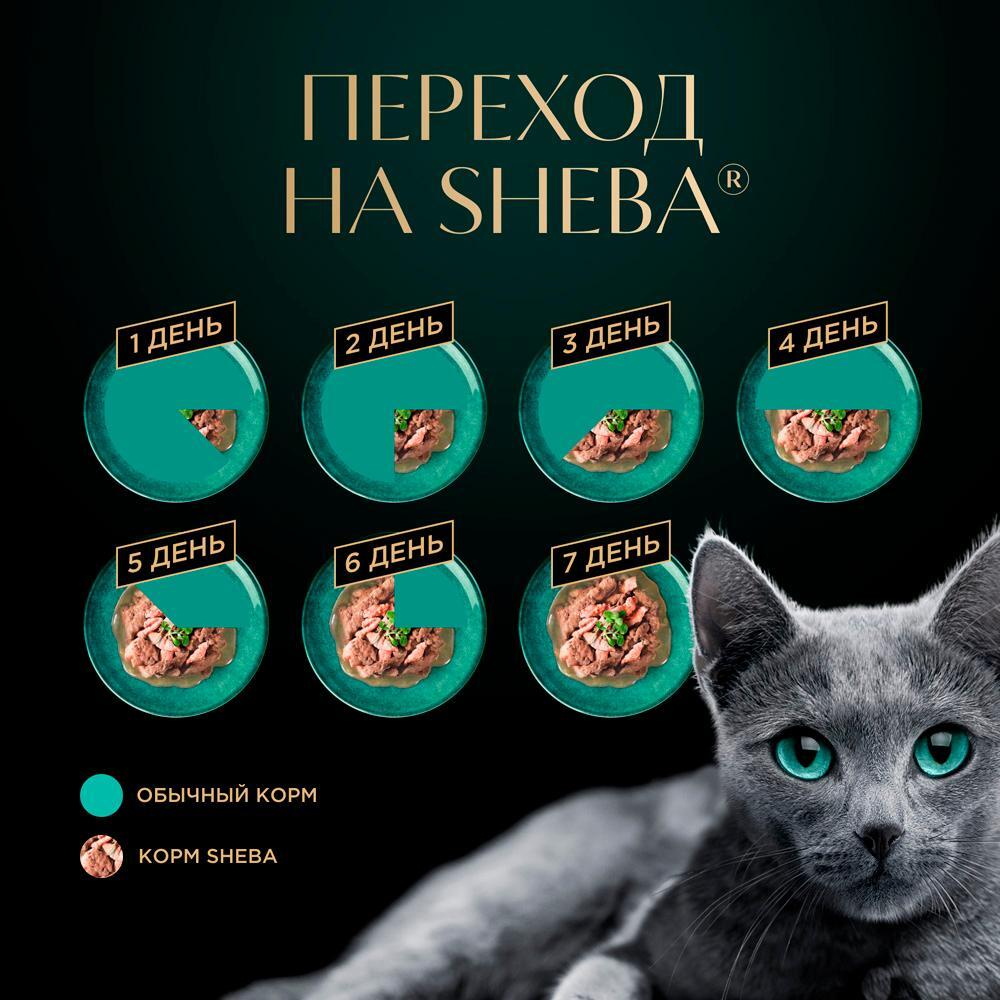 Ломтики в соусе телятина и язык, 75г влажный корм для кошек Sheba