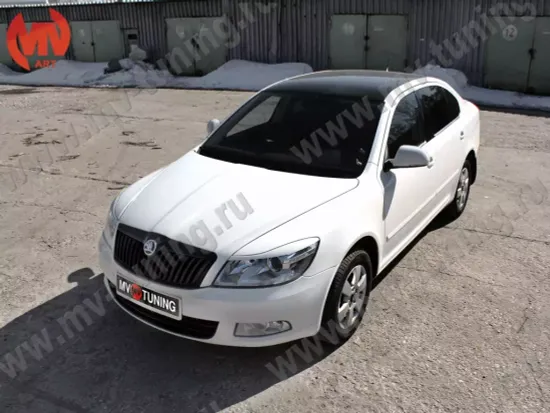 Реснички на фары Skoda Oktavia II