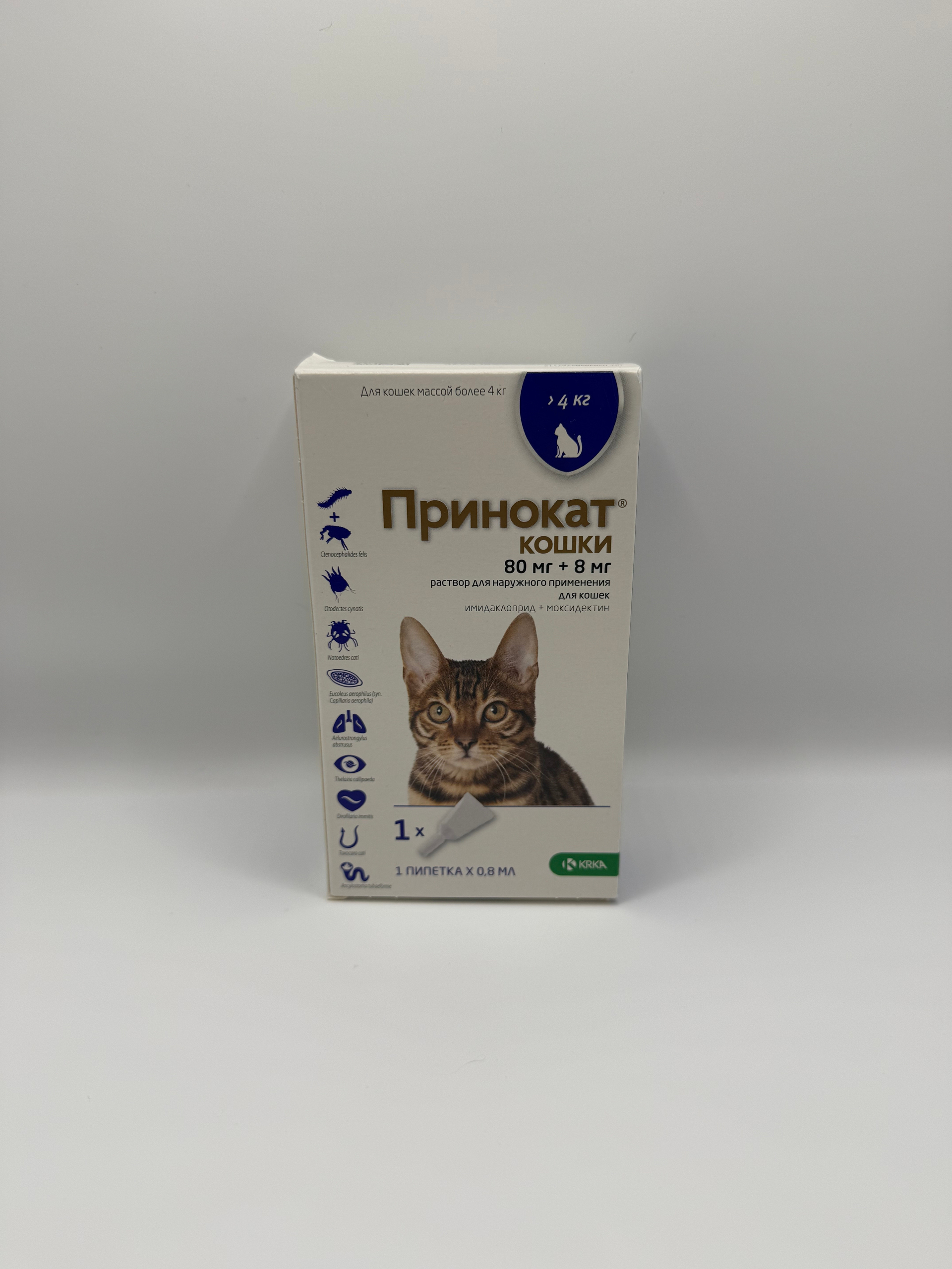 Принокат: Новый игрок на страже здоровья питомцев. Что нужно знать об аналоге Адвоката?