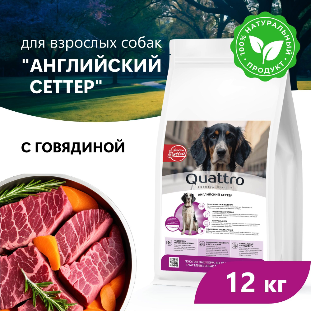 Корм сухой для взрослых собак породы Английский сеттер, премиум полнорационный комплекс, с говядиной, 12 кг, QUATTRO