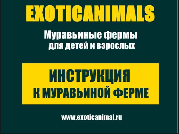 Инструкция к муравьиной фермы Инструкция к муравьиной фермы