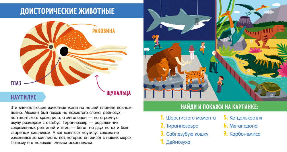 Книга "Найди и покажи, малыш. В мире животных" о 79 видах зверей