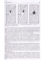 Наружный генитальный эндометриоз: пособие для врачей