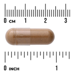 Swanson Vitamins, Full Spectrum®, гриб ежовик гребенчатый, 500 мг, 60 веганских капсул