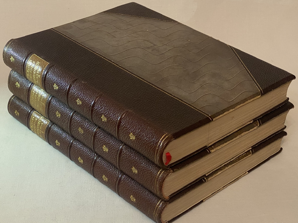 "История живописи в XIX веке. В 3-х томах". Р.Мутер. 1901г.