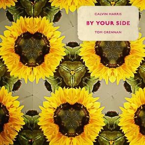 Calvin Harris, Tom Grennan / By Your Side (Picture Disk)(12" Vinyl Single)