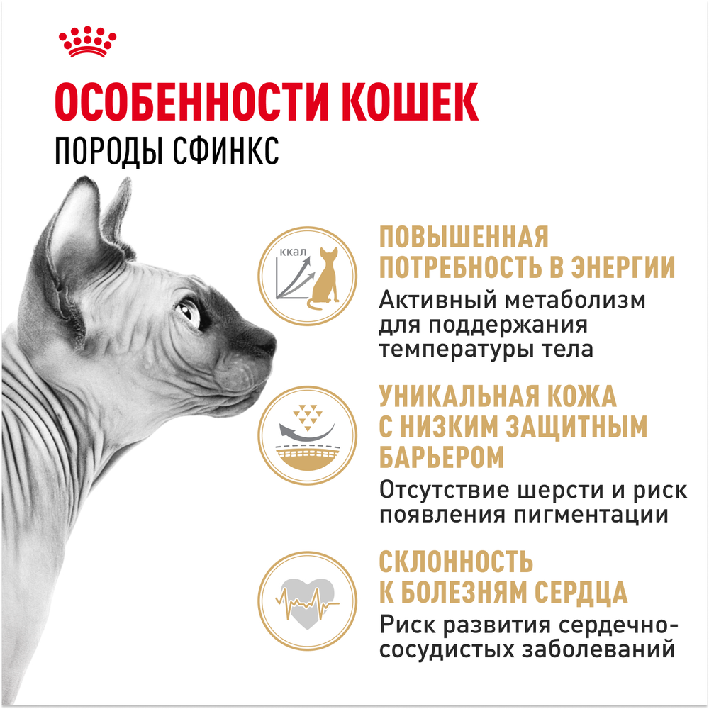 Royal Canin Sphynx Adult Сфинкс Эдалт Корм сухой сбалансированный для взрослых кошек породы Сфинкс от 12 месяцев 400г