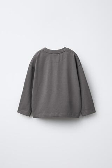 ZARA ФУТБОЛКА HEAVYWEIGHT С ВЫШИВКОЙ, ЖЕМЧУЖНО-СЕРЫЙ