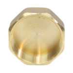 Заглушка латунь Ду 20 (3/4") ВР VALFEX VF.590.L.034