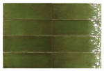 Equipe Fango Green Gloss 5x15