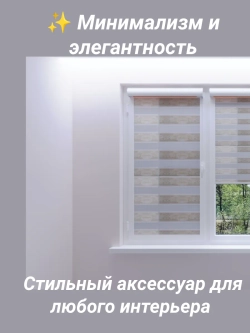 Рулонные шторы День-Ночь 60х150 см
