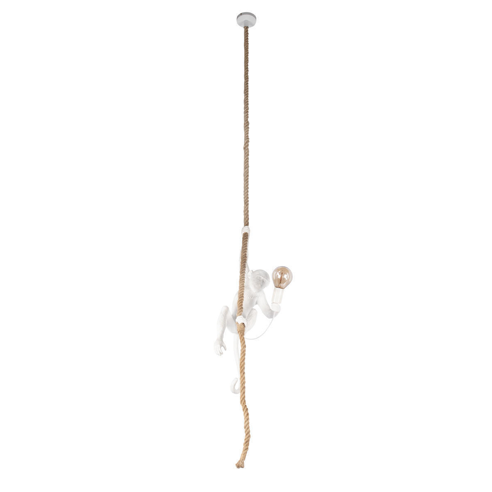 Подвесной светильник Loft It Monkey  10314P