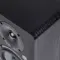 Radiotehnika S-20M Black Ash