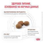 Royal Canin Gastrointestinal Moderate Calorie GIM 35 Гастроинтестинал Модерейт Кэлори Корм сухой диета для кошек при расстройствах пищеварения 2кг