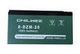Аккумулятор CHILWEE 8-DZM-20 ( 16V 24Ah / 16В 24Ач ) - фото 1