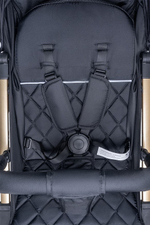 Kоляска детская прогулочная Farfello Comfy Go Comfort (Rose Gold Black/Чёрное Золото CG-401)
