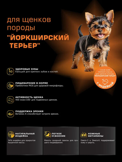 Корм сухой для щенков породы Йоркширский терьер, с индейкой, 12 кг, QUATTRO
