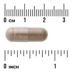 Swanson Vitamins, трифала с амлой, бибхитаки и харитаки, 500 мг, 100 капсул