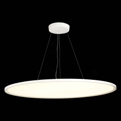 Светильник подвесной ST Luce Function ST602.543.120