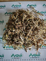 Полынь горькая резаная крупно Алтай